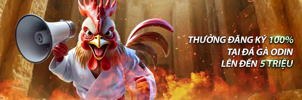 Khuyến mãi BK88 Login 2026